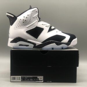 Air Jordan 6 Oreo Black White CT8529-108